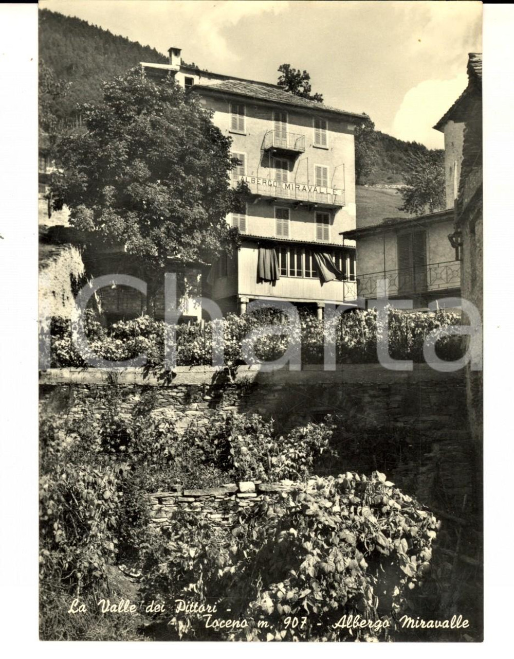 Cartolina originale da collezione 1958 TOCENO VB Veduta con l albergo MIRAVALLE Cartolina postale FG VG 1