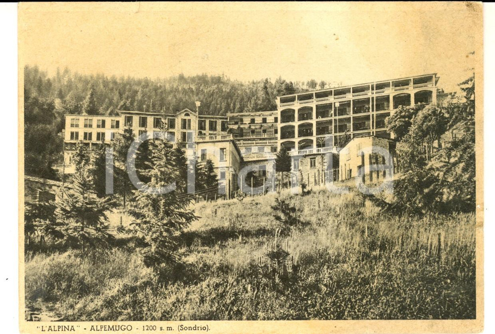 Cartolina originale da collezione 1940 ca TREVISIO / ALPEMUGO SO Casa di cura L ALPINA Cartolina postale FG NV 1