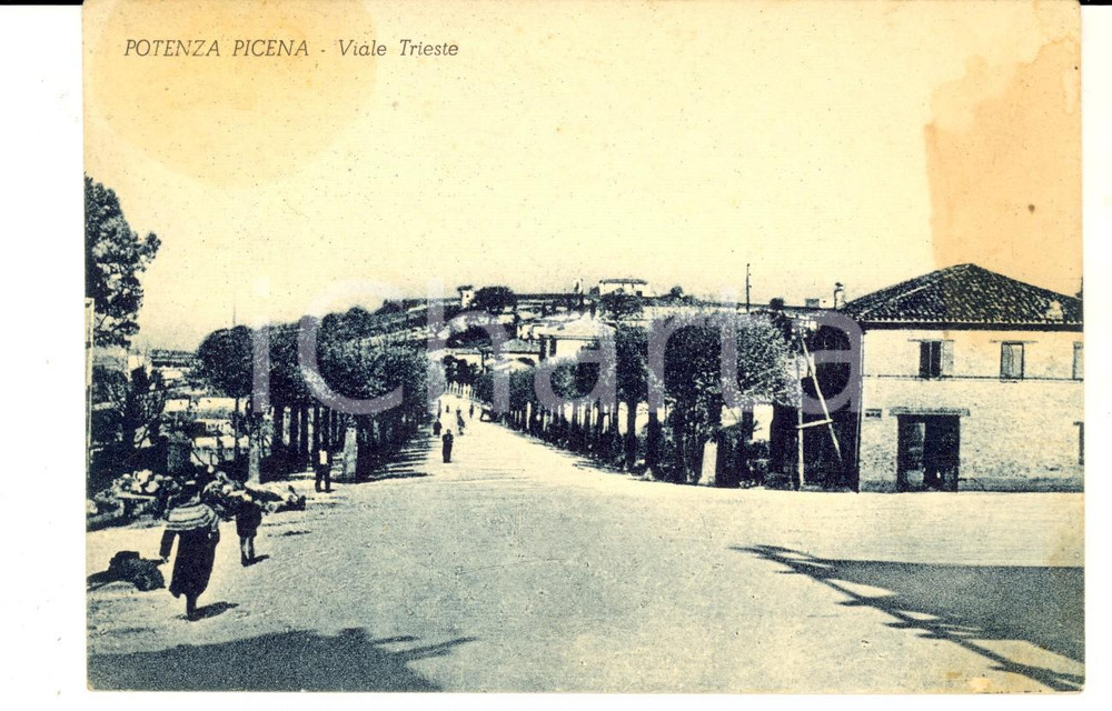 Cartolina originale da collezione 1951 POTENZA PICENA MC Veduta di viale TRIESTE Cartolina postale ANIMATA FG 1