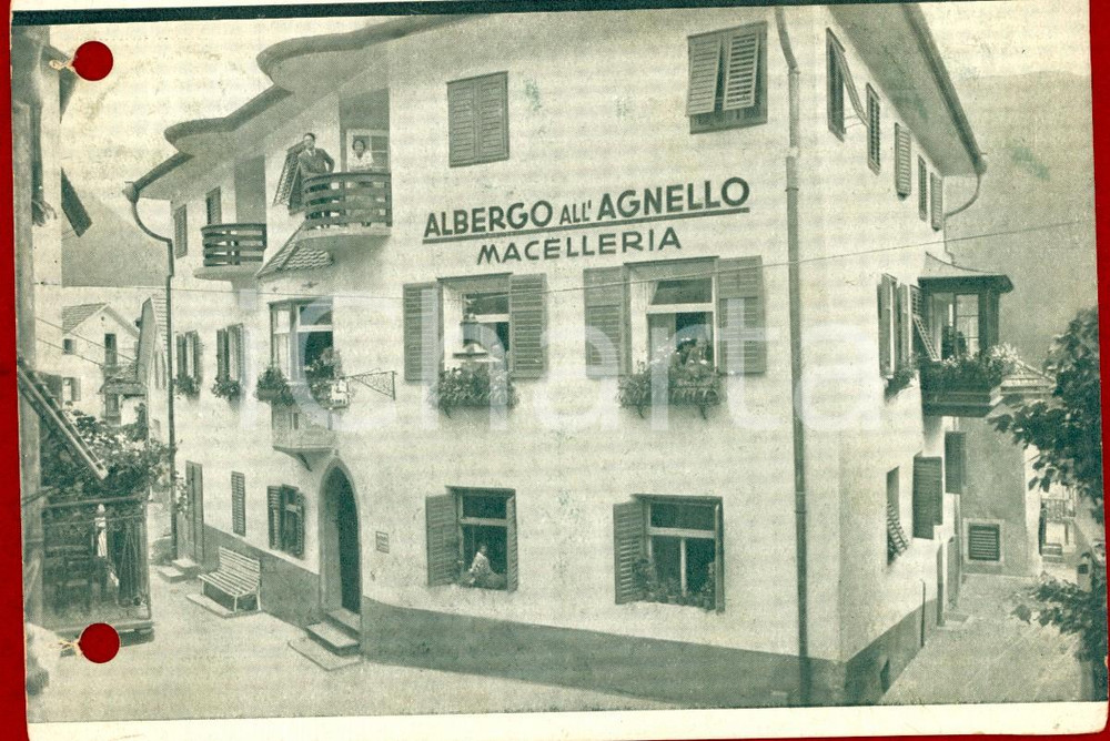 Cartolina originale da collezione 1938 RIO DI PUSTERIA BZ Albergo AGNELLO BIANCO di SCHIFFEREGGER  Cartolina FG 1