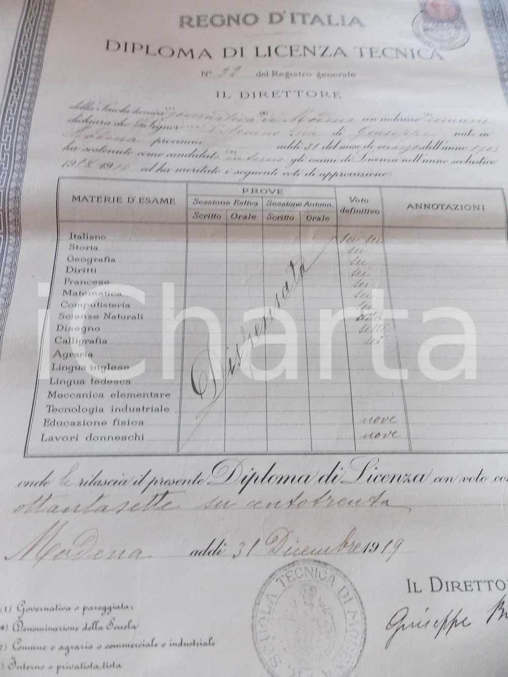Oggetto da collezione cartaceo 1919 MODENA Diploma di licenza tecnica  Pia D AQUINO 31x41 cm 1