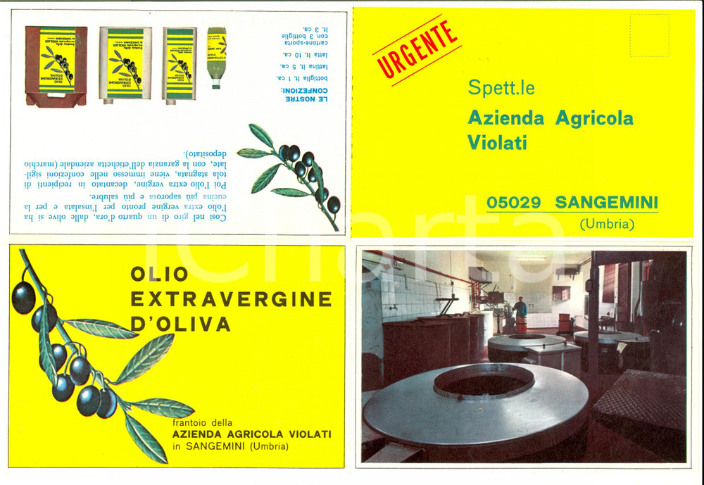 Materiale pubblicitario d’epoca 1960 ca SANGEMINI Azienda Agricola VIOLATI olio d oliva Pieghevole illustrato 1