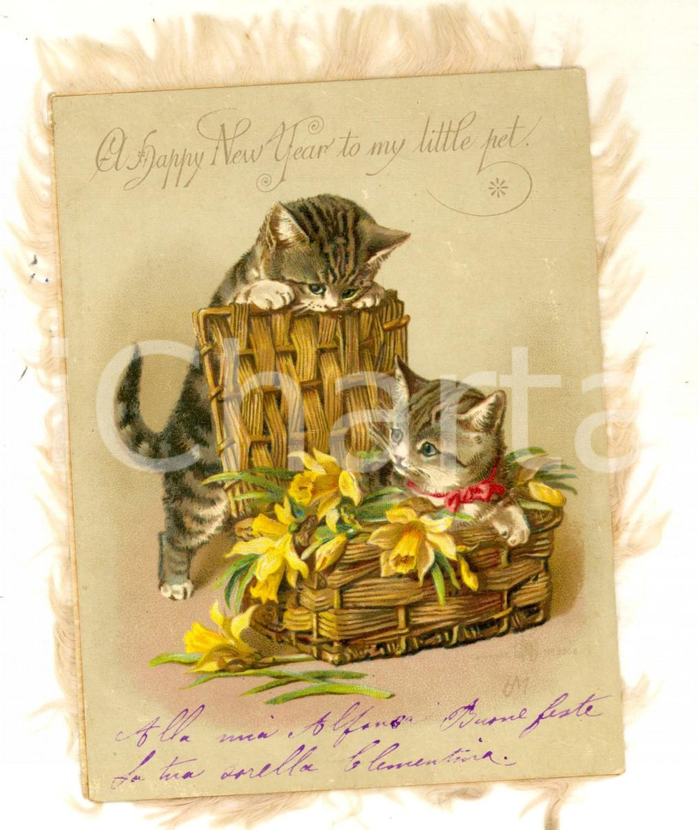 Oggetto da collezione cartaceo 1920 ca CHRISTMAS GREETINGS Pets Fringed vintage card ILLUSTRATED 10x13 cm 1