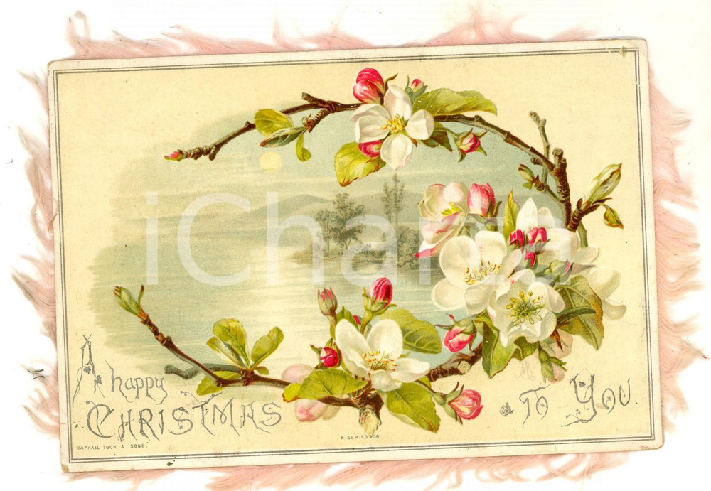 Oggetto da collezione cartaceo 1920 ca CHRISTMAS GREETINGS Flowers Fringed vintage card ILLUSTRATED 16x11 cm 1