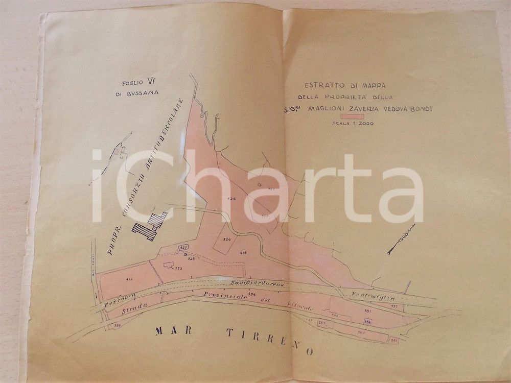 Stampa, bozzetto originale 1930 ca BUSSANA IM ProprietÃ  di Zaveria MAGLIONI BONDI Planimetria 40x30 cm 1