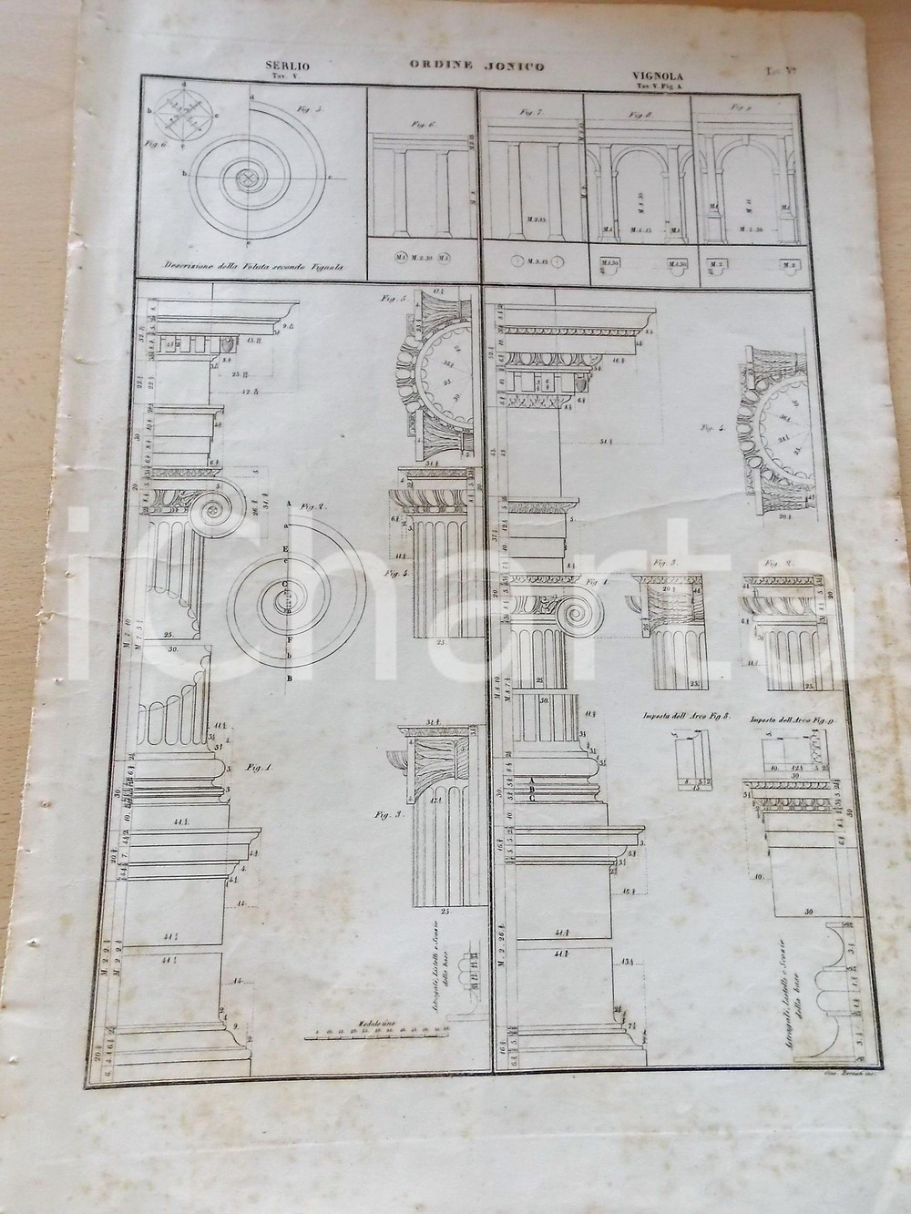Stampa, bozzetto originale 1861 ARCHITETTURA Francesco DURELLI  Ordine ionico SERLIO Stampa 33x48 cm 1