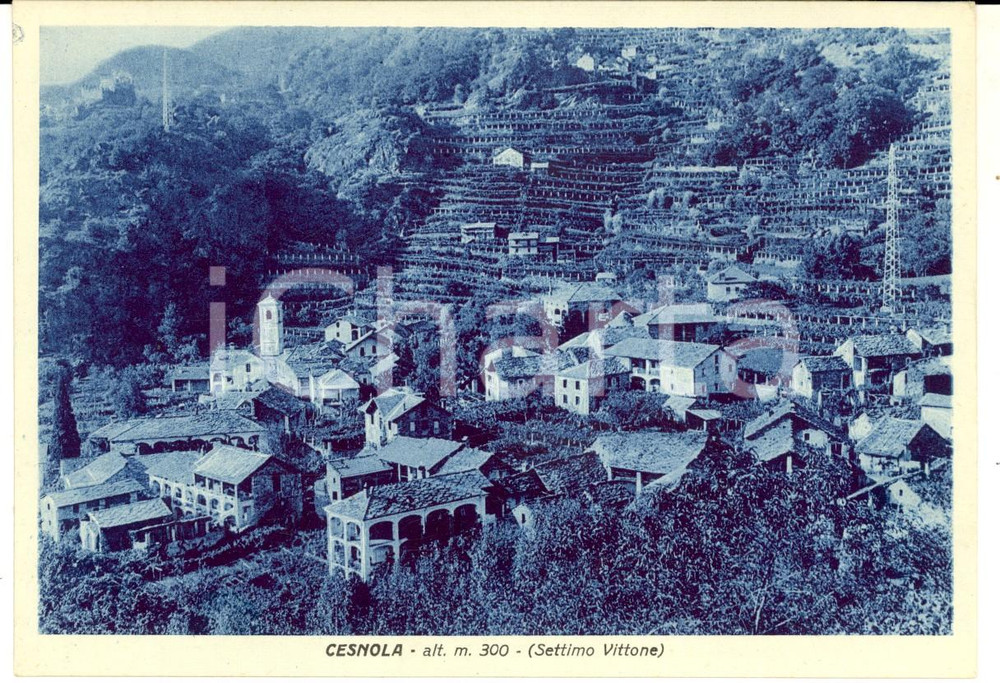 Cartolina originale da collezione 1940 SETTIMO VITTONE TO Panorama frazione CESNOLA Cartolina postale FG NV 1