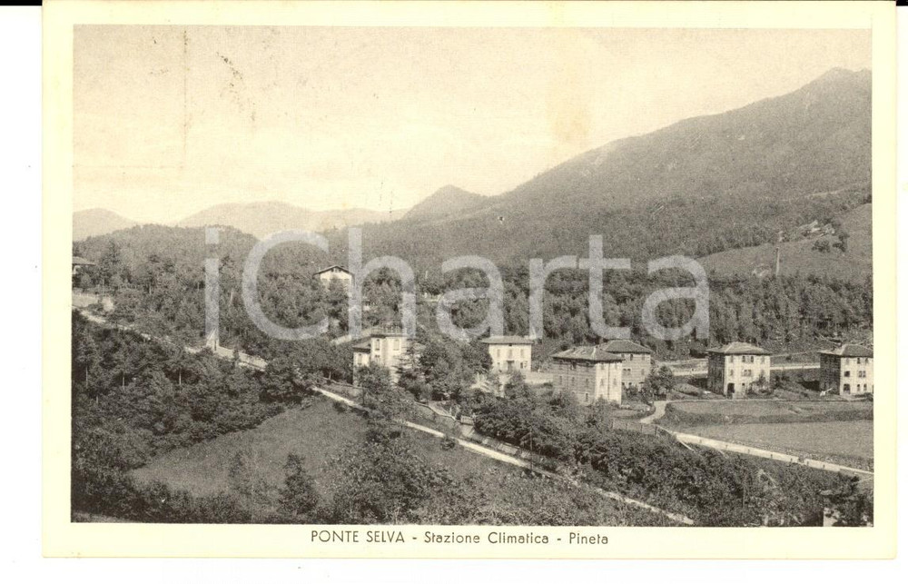 Cartolina originale da collezione 1936 PONTE SELVA BG Veduta del paese con la pineta Cartolina postale FP VG 1