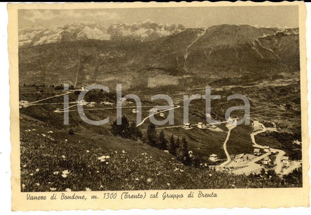 Cartolina originale da collezione 1939 VANEZE DI BONDONE TN Panorama col Gruppo di BRENTA Cartolina FG VG 1