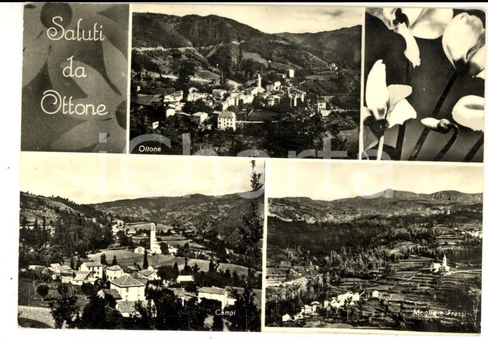 Cartolina originale da collezione 1962 OTTONE PC Vedutine con MOGLIA e FRASSI Cartolina postale FG VG 1