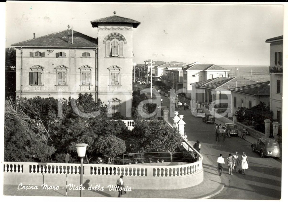 1960 CECINA MARE (LI) Viale della Vittoria *Cartolina ANIMATA VINTAGE FG VG
