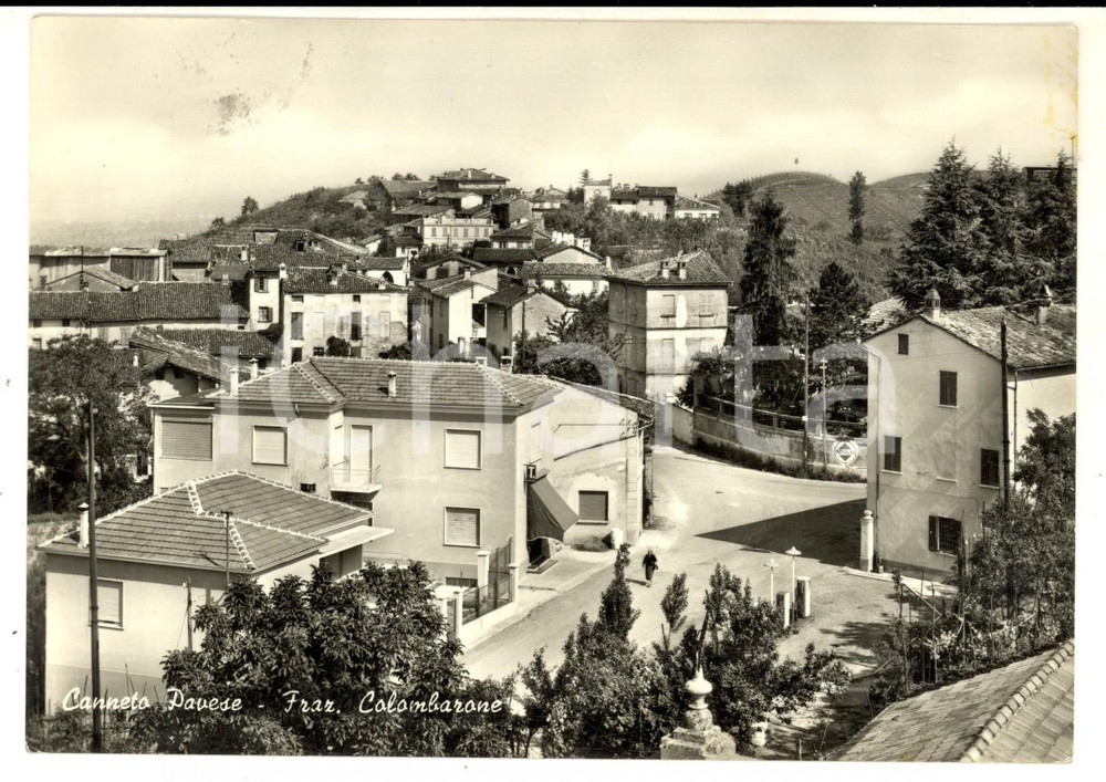 Cartolina originale da collezione 1959 CANNETO PAVESE Veduta della frazione COLOMBARONE Cartolina postale FG VG 1