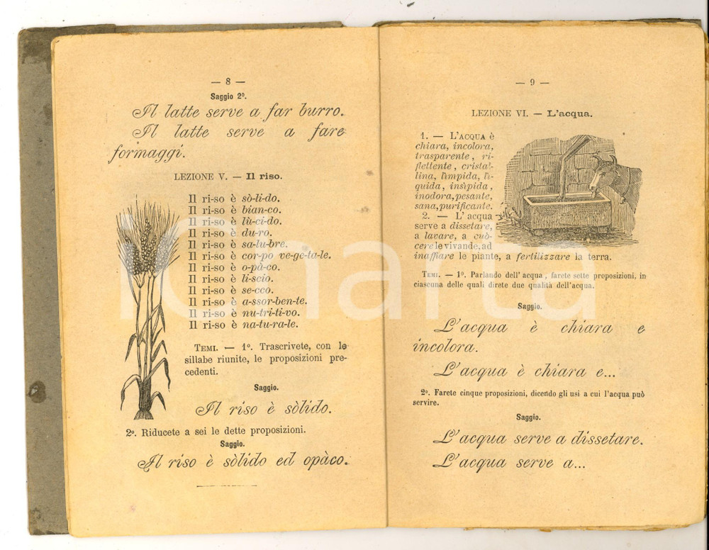 Libro, pubblicazione d epoca 1890 SILVESTRI  CERVETTI Lezioni di cose  Scuola elementare DANNEGGIATO 1