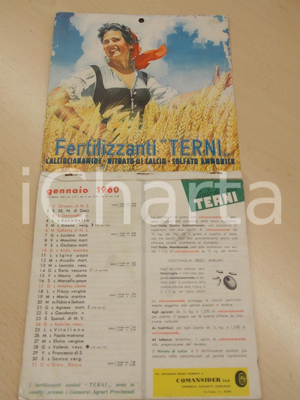 Documento originale, autentico 1960 ROMA Fertilizzanti TERNI Calciocianamide Calendario ILLUSTRATO 1