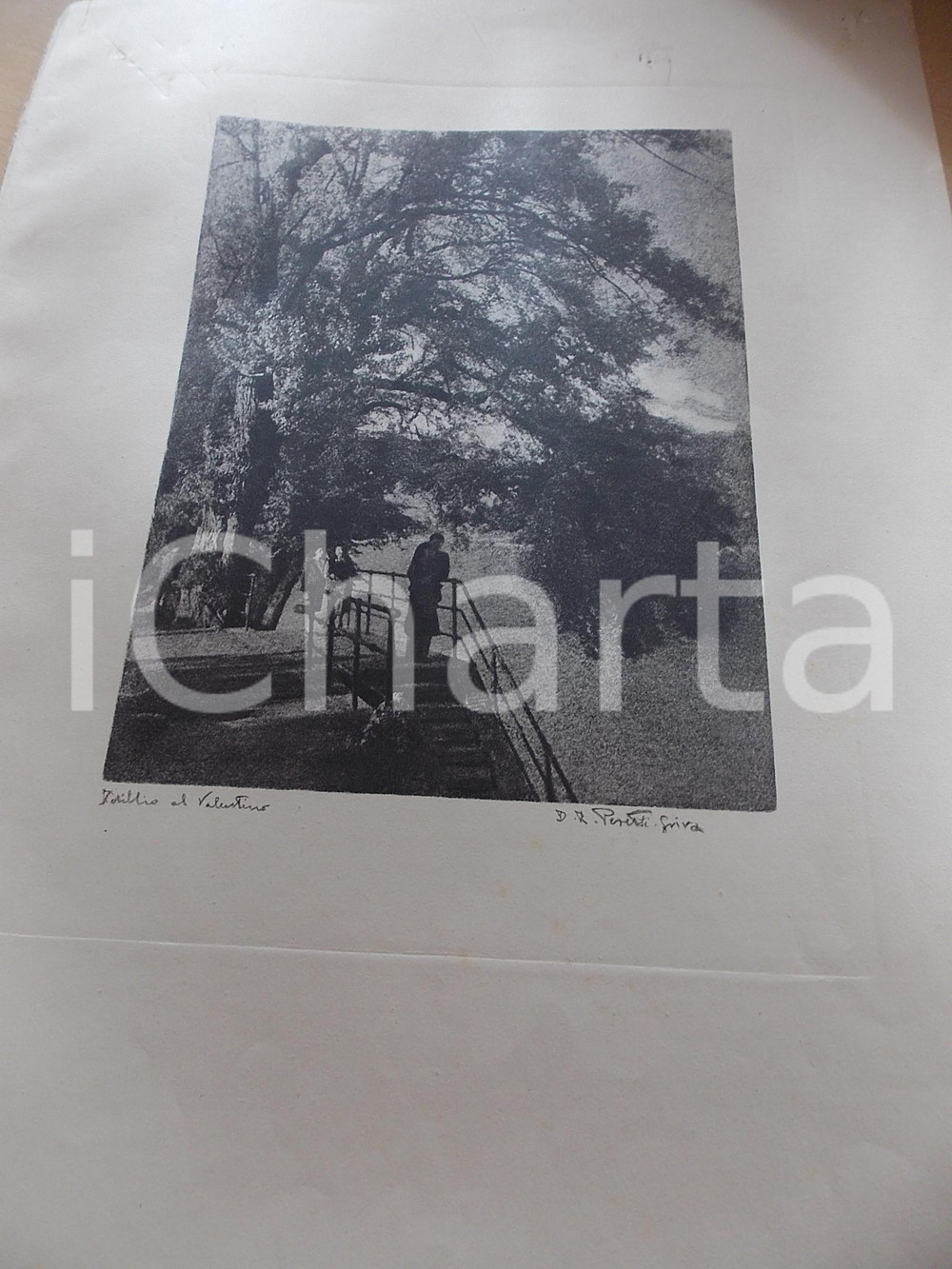 Stampa, bozzetto originale 1950 ca Domenico Riccardo PERETTI GRIVA  TORINO Idillio al Valentino Stampa 1