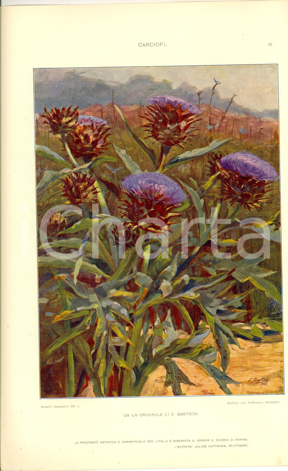 Stampa, bozzetto originale 1910 ca E. BARTSCH Carciofi Tavola 35x25 cm da MODELLI DECORATIVI 1