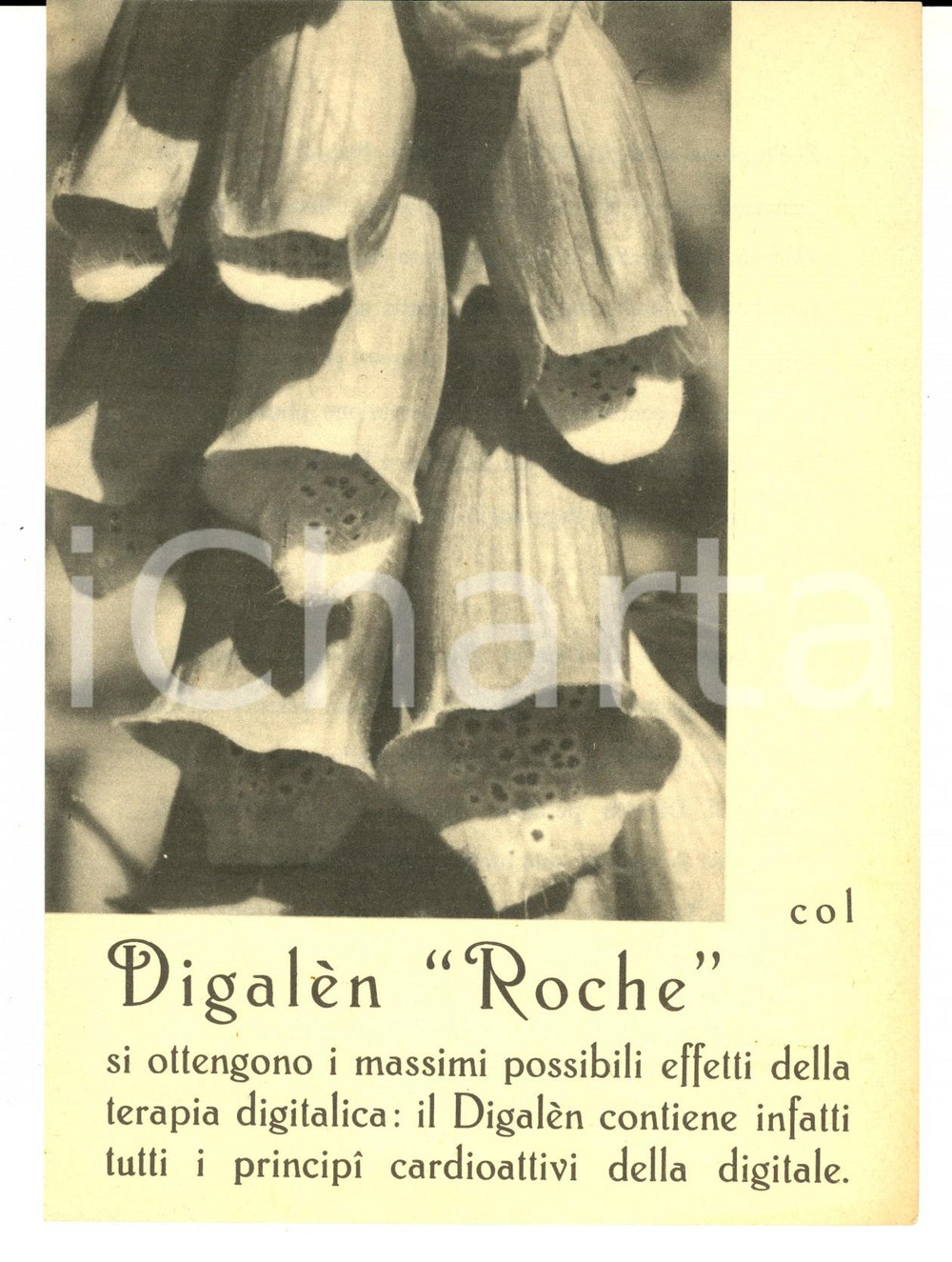 Materiale pubblicitario d’epoca 1940 ca FARMACEUTICA ROCHE Preparato DIGALEN cardioattivo Volantino 1