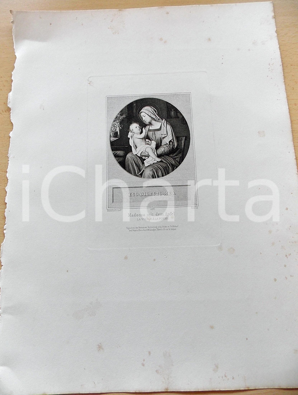 Stampa, bozzetto originale 1880 ca ARTE SACRA Madonna mit dem Apfel Stampa inc. EITEL 28x37 cm 1