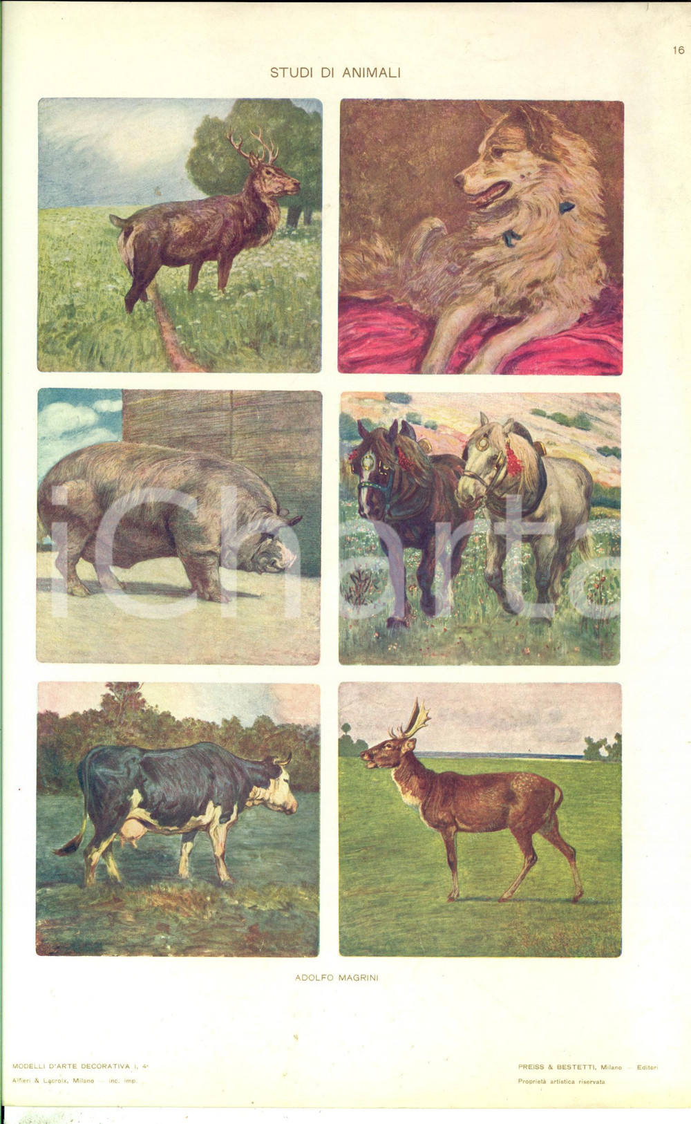 Stampa, bozzetto originale 1910 ca ARTE DECORATIVA Adolfo MAGRINI Studi di animali Tavola 25x35 1