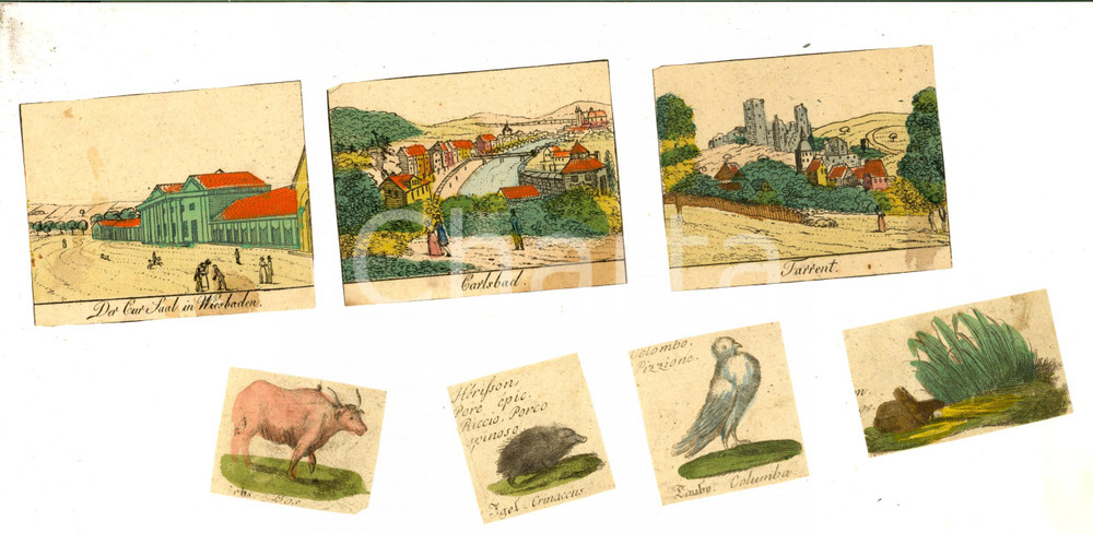 Stampa, bozzetto originale 1790ca ITALIA Lotto 7 figurine città e animali COLORATE A MANO ANTICHE 1