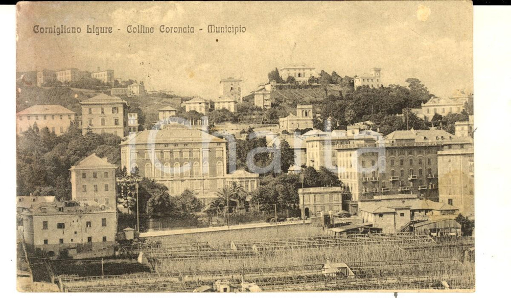 Cartolina originale da collezione 1919 CORNIGLIANO LIGURE GE Collina Coronata  Municipio Cartolina FP VG 1