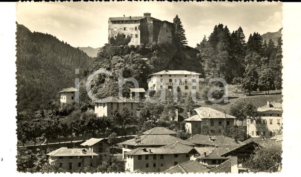 Cartolina originale da collezione 1953 STENICO TN Panorama del paese con il castello Cartolina postale FP VG 1