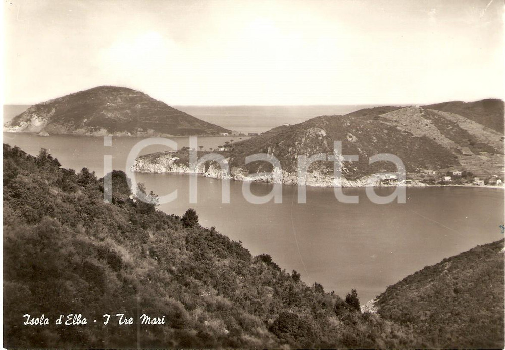 Cartolina originale da collezione 1965 ISOLA D ELBA LI Veduta dei tre mari Cartolina FG VG 1