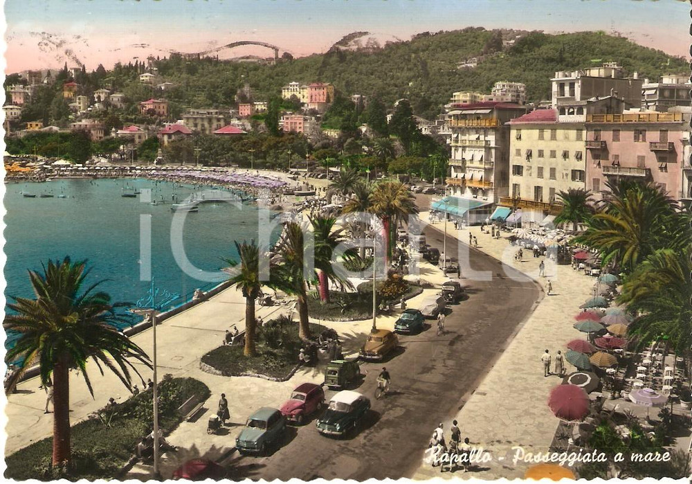 Cartolina originale da collezione 1955 RAPALLO GE Passeggiata a mare Cartolina FG VG 1