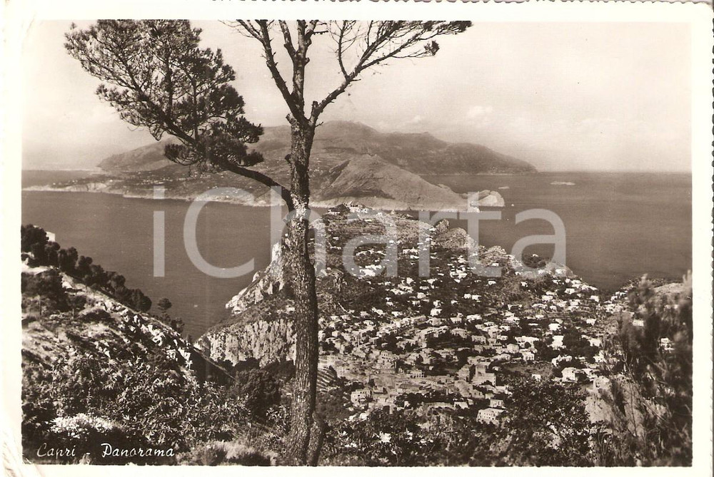 Cartolina originale da collezione 1961 CAPRI NA Panorama dell Isola Cartolina FG VG 1
