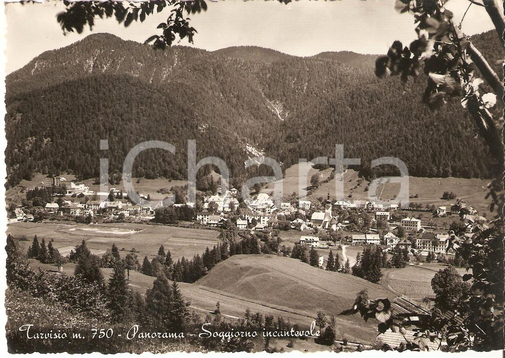Cartolina originale da collezione 1960 ca TARVISIO UD Panorama del paese Cartolina FG NV 1