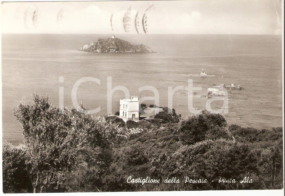 1960 CASTIGLIONE DELLA PESCAIA (GR) Panorama di PUNTA ALA *Cartolina FG VG