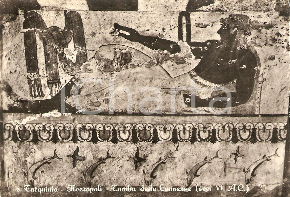 1954 TARQUINIA (VT) Necropoli - Tomba delle leonesse *Cartolina FG VG