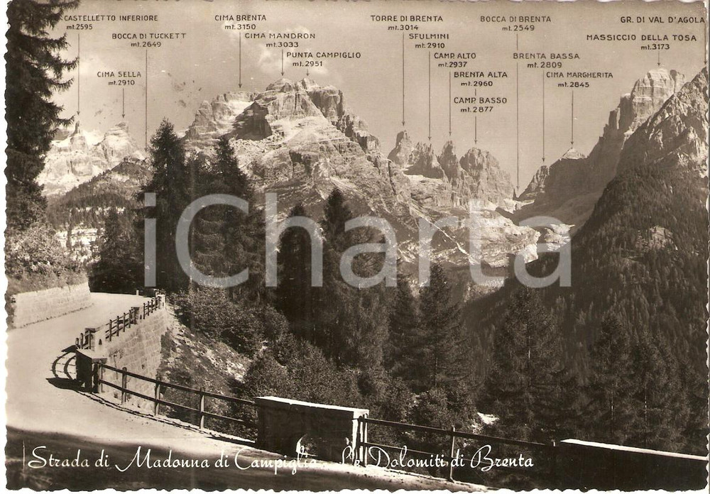 1956 DOLOMITI DEL BRENTA (TN) Strada di MADONNA DI CAMPIGLIO *Cartolina FG VG
