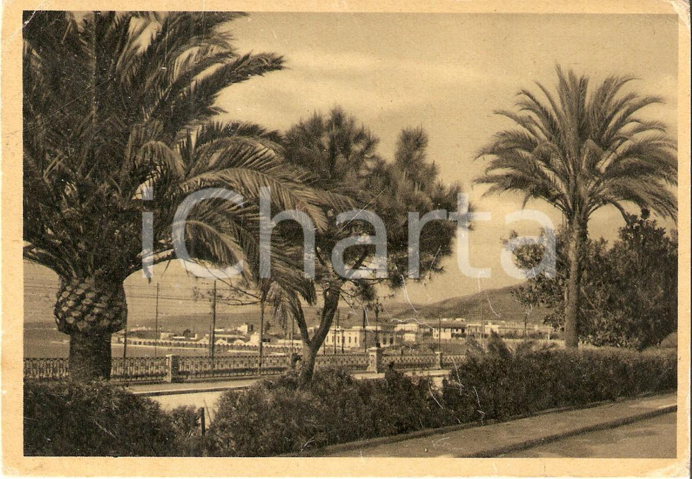 Cartolina originale da collezione 1940 ca REGGIO CALABRIA Palme in Via Marina Cartolina FG VG 1