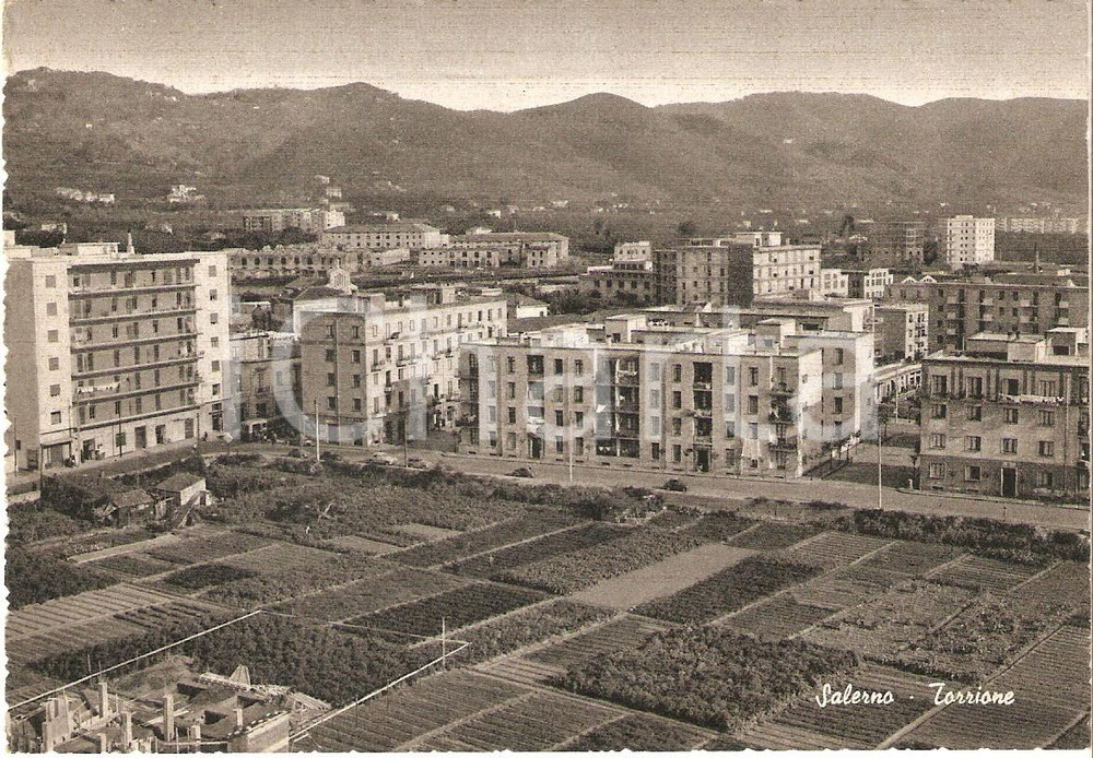 Cartolina originale da collezione 1950 ca SALERNO Campi coltivati al quartiere TORRIONE Cartolina FG NV 1