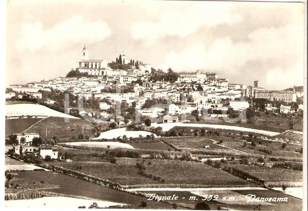 1965 VIGNALE MONFERRATO (AL) Panorama del paese *Cartolina FG VG