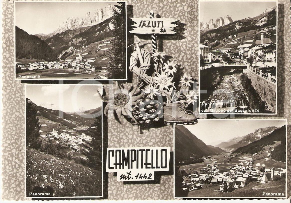 Cartolina originale da collezione 1955 ca CAMPITELLO DI FASSA TN Vedutine con Gruppo SASSOLUNGO Cartolina FG NV 1