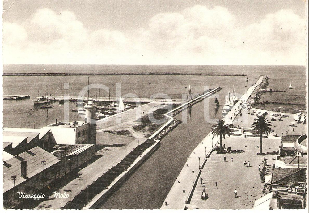 Cartolina originale da collezione 1950 ca VIAREGGIO LU Panorama del molo Cartolina FG VG 1