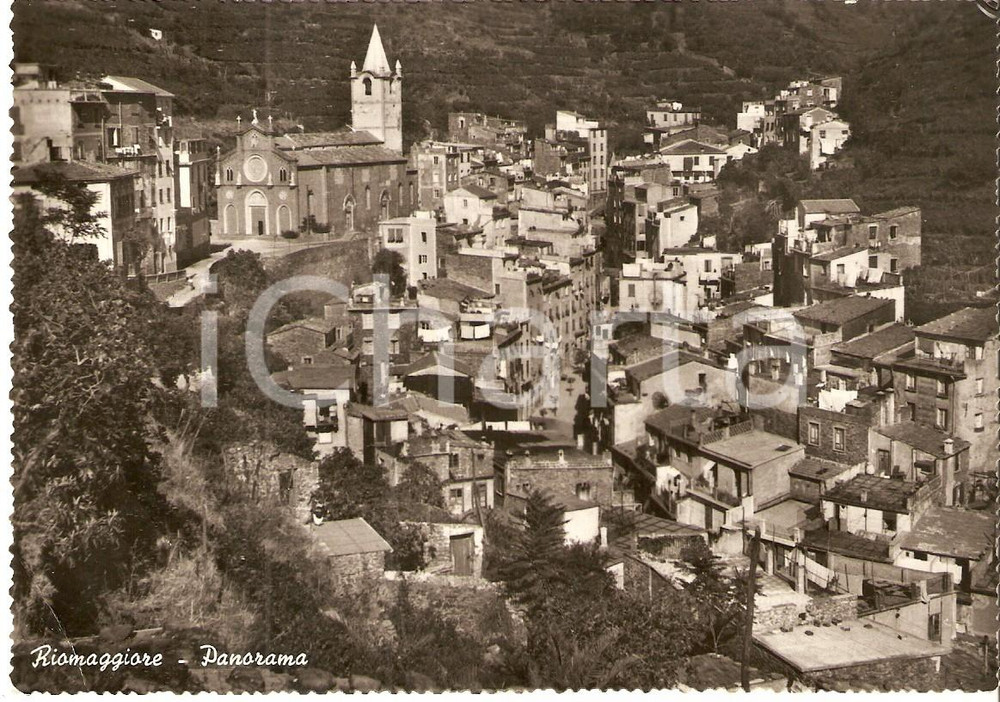 Cartolina originale da collezione 1950 ca RIOMAGGIORE SP Veduta aerea del paese Cartolina FG NV 1