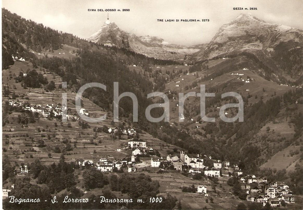 Cartolina originale da collezione 1955 ca BOGNANCO TERME Frazione SAN LORENZO e Cima del Dosso Cartolina FG VG 1