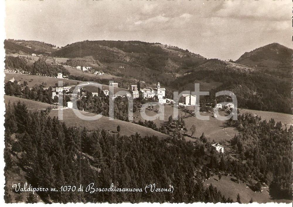 Cartolina originale da collezione 1956 BOSCO CHIESANUOVA VR Frazione VALDIPORRO Panorama Cartolina FG VG 1