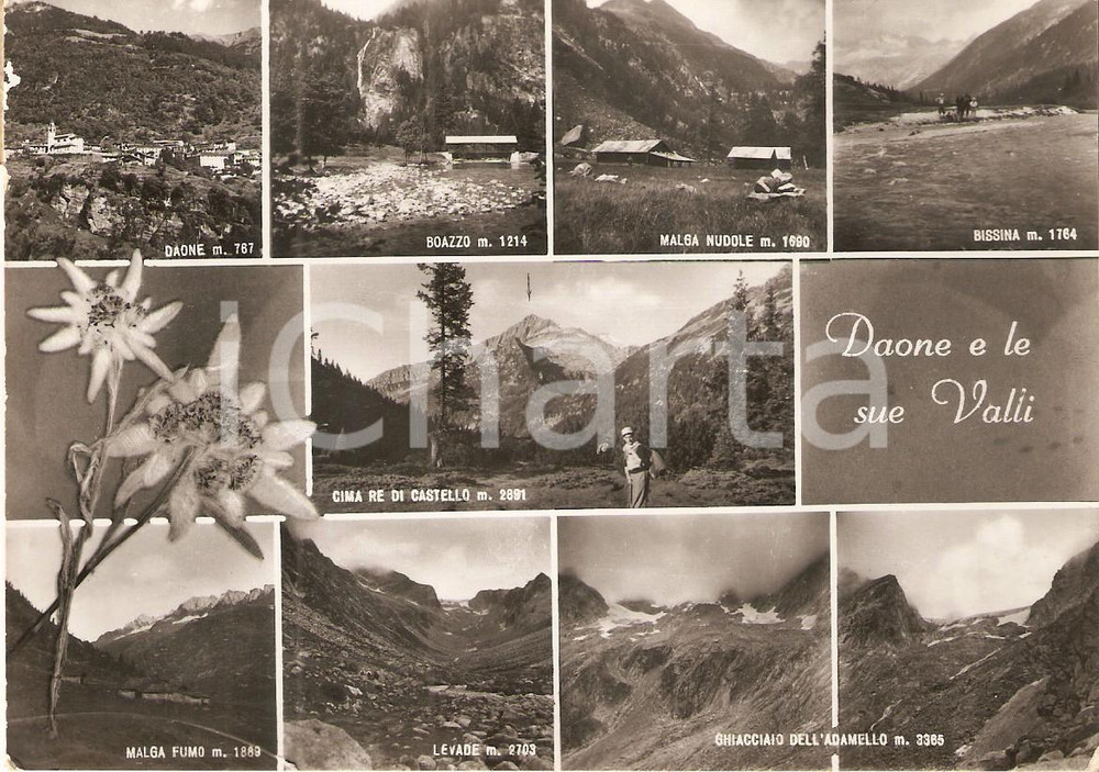 Cartolina originale da collezione 1954 DAONE TN Vedutine Boazzo BISSINA Malga Nudole e Fumo Cartolina FG VG 1