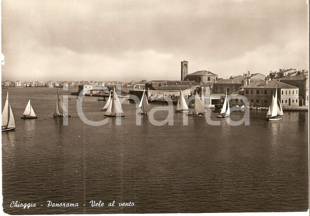 Cartolina originale da collezione 1957 CHIOGGIA VE Panorama con vele al vento Cartolina FG VG 1