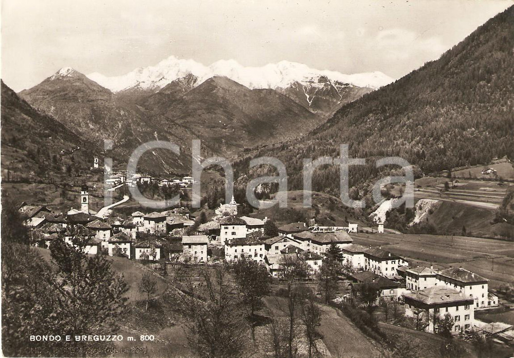 Cartolina originale da collezione 1955 BONDO E BREGUZZO TN Panorama dei due paesi Cartolina FG VG 1