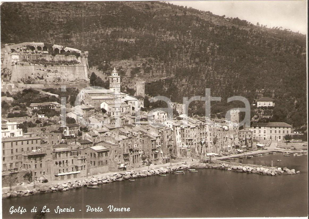 Cartolina originale da collezione 1960 ca PORTO VENERE SP Panorama con Golfo di LA SPEZIA Cartolina FG NV 1