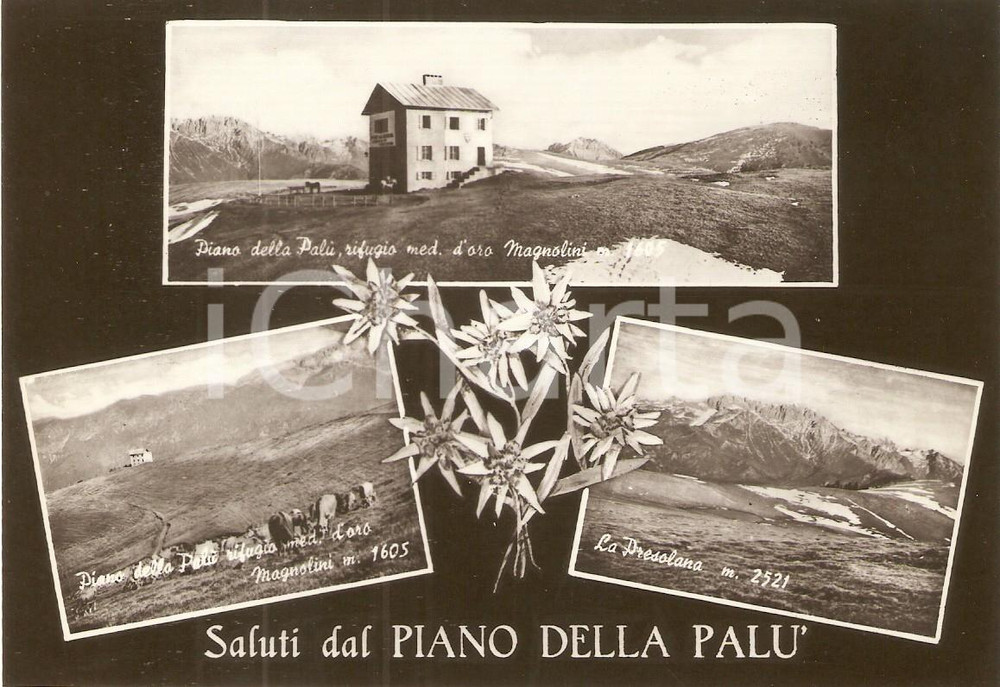 Cartolina originale da collezione 1955 ca PIANO DELLA PALU  BG Presolana e Rifugio MAGNOLINI Cartolina FG NV 1