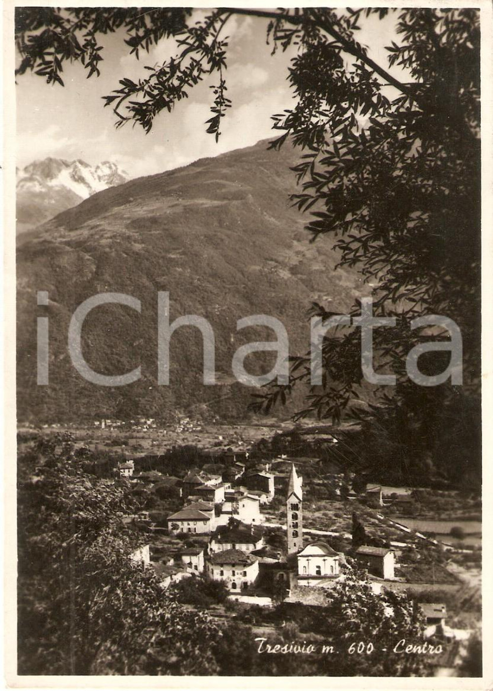 1955 ca TRESIVIO (SO) Panorama del centro del paese *Cartolina FG VG