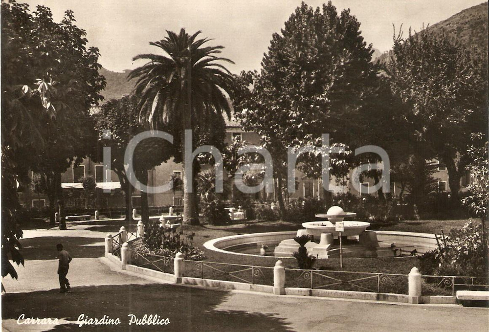Cartolina originale da collezione 1956 CARRARA Veduta del giardino pubblico Cartolina FG VG 1