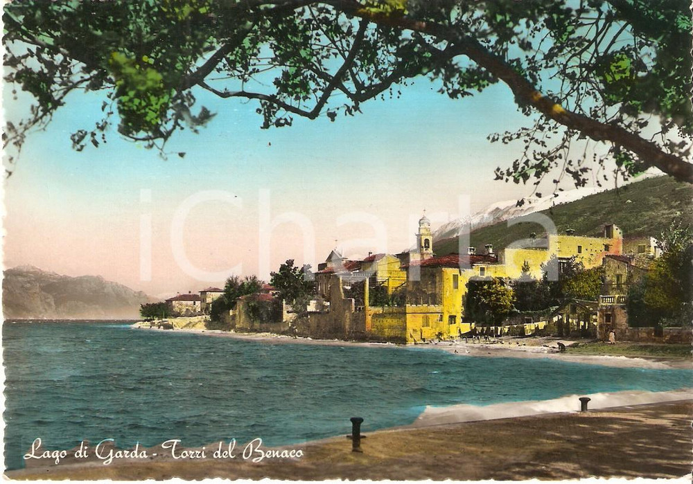 Cartolina originale da collezione 1955 ca TORRI DEL BENACO VR Panorama con Lago di Garda Cartolina FG NV 1