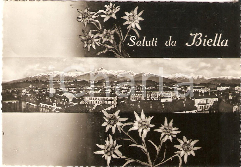 Cartolina originale da collezione 1955 BIELLA Panorama della città e stelle alpine Cartolina FG VG 1